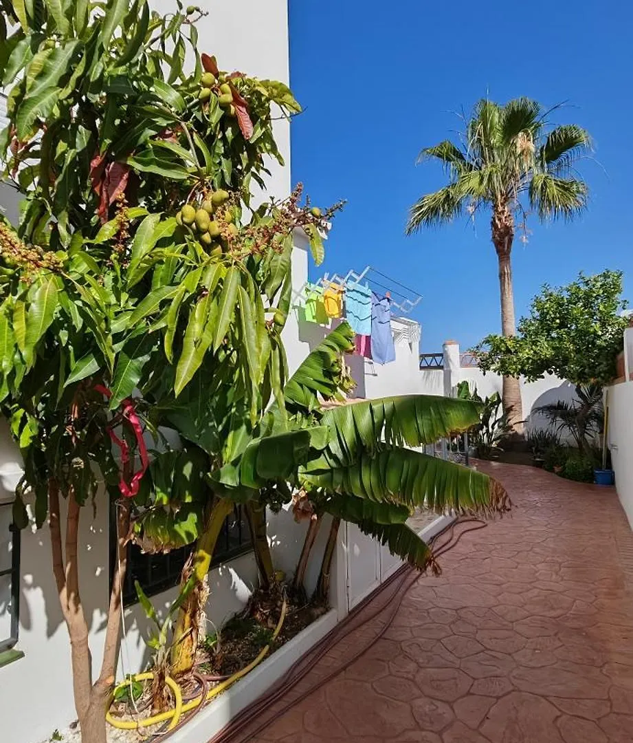 Villa Zaggara Estepona